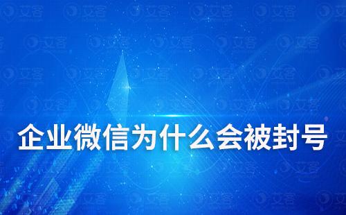 企業(yè)微信為什么會被封號